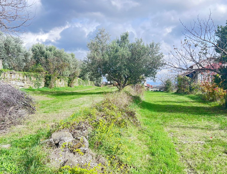 Lokacija: Obalno - kraška, Koper, Puče